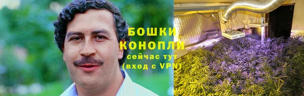ECSTASY Яранск