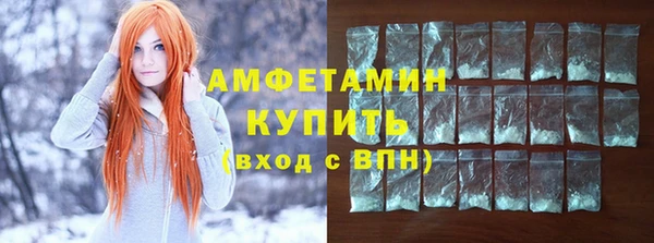 индика Янаул