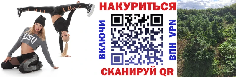 купить наркотик  Камышин  Канабис White Widow 